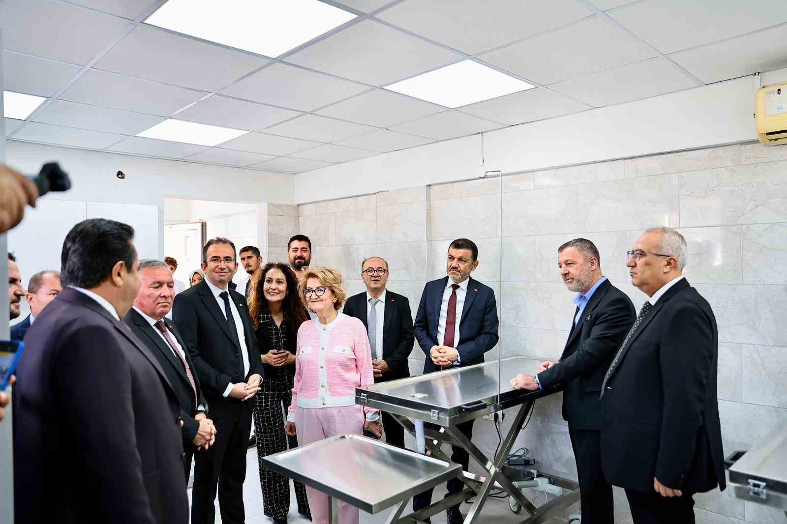 Başkan Arslan; "Tüm canlıların yaşam hakkına saygı duymalıyız"