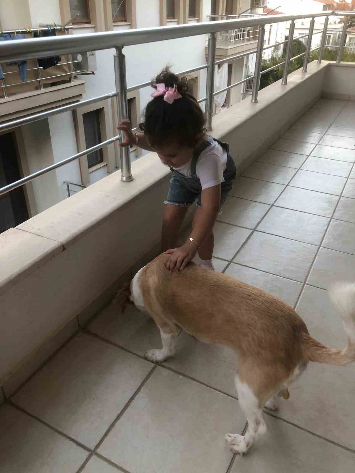 Minik Gökçe’den örnek davranış