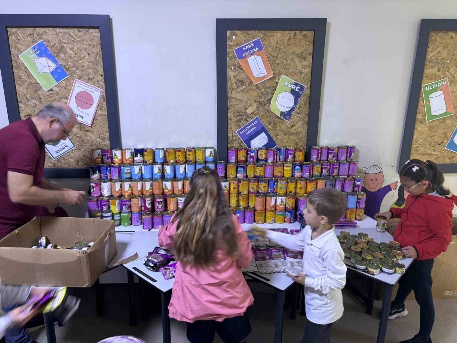 Öğrenciler, tedavi gören kediler için 2 bin kutu mama topladı