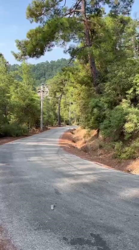 Marmaris orman ekipleri yıl boyunca yangınlara karşı teyakkuzda
