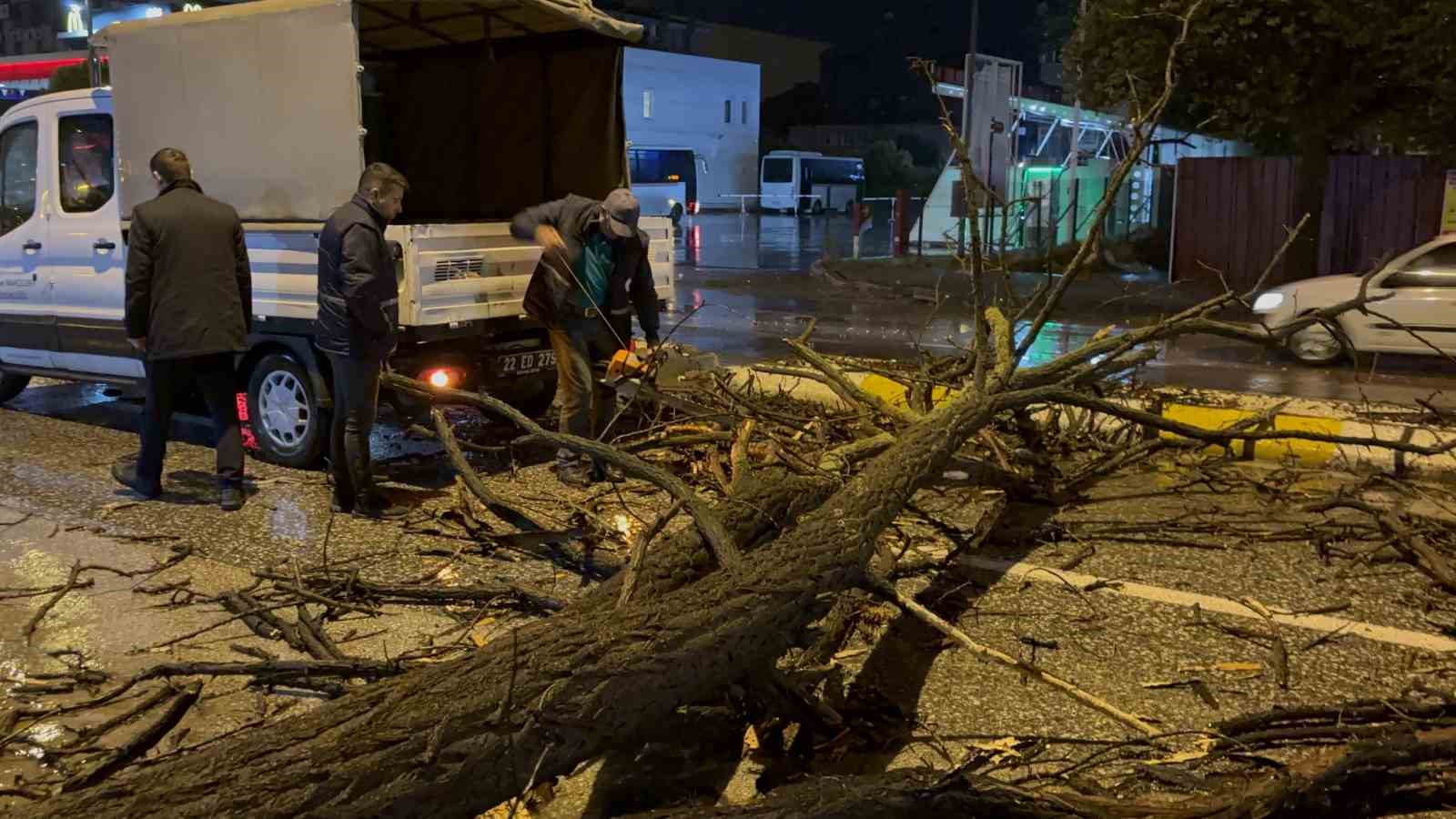 Edirne’de sağanak yağış ve rüzgar, ağacı devirdi