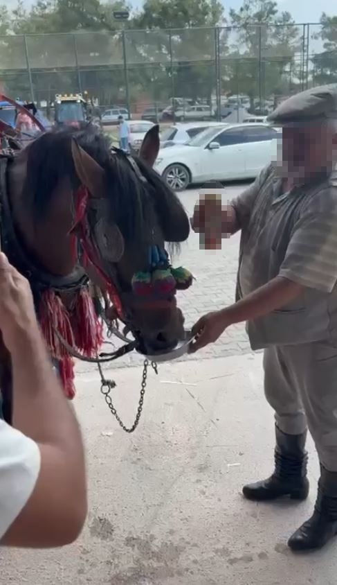 HAYTAP Aydın Temsilcisi Tekinbaş: "Yük hayvanlarının sesi duyulmuyor"