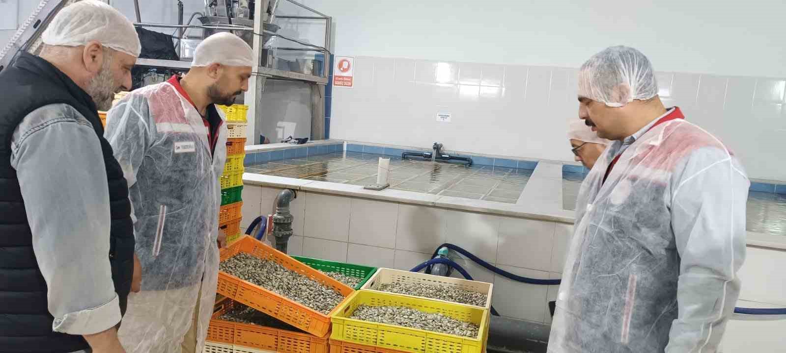 Su ürünleri tesislerinde güvenlik ve kalite denetimi