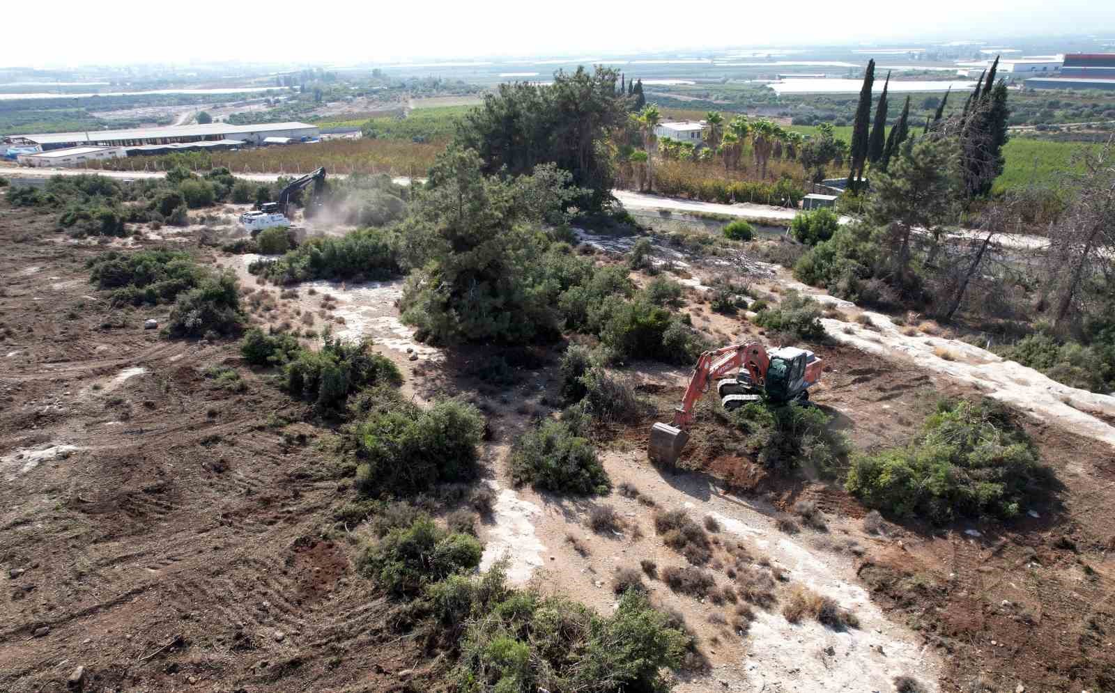 Akdeniz Belediyesinden sokak hayvanları için doğal yaşam alanı