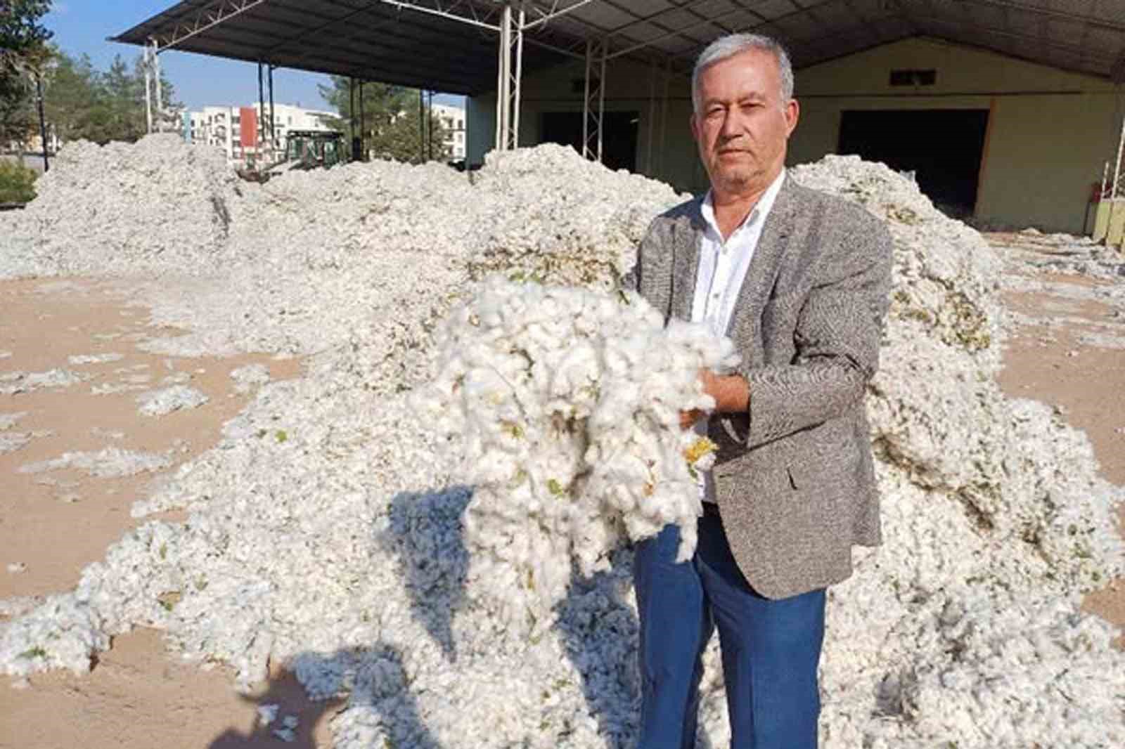 Araban Ovası’nda makinalı pamuk hasadı buruk başladı