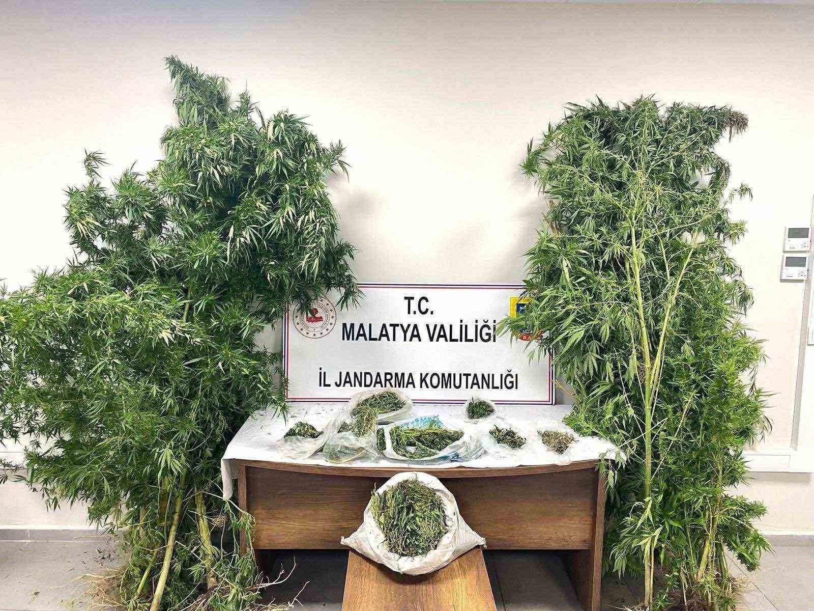 Malatya’da 13 kilo esrar ele geçirildi: 5 şahıs tutuklandı