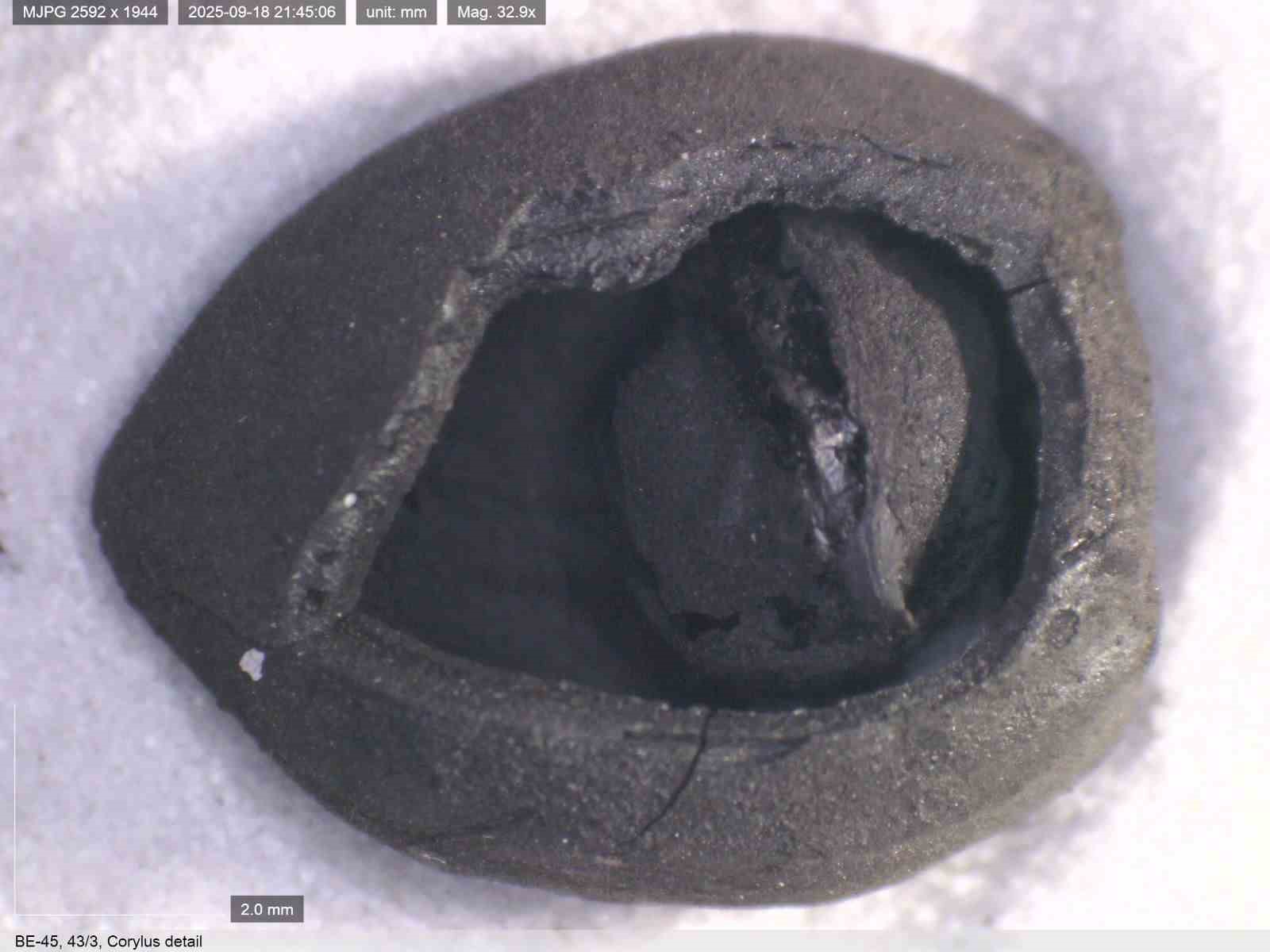 Bakan Ersoy: "Anadolu sofralarının kökenine ışık tutuyoruz"
