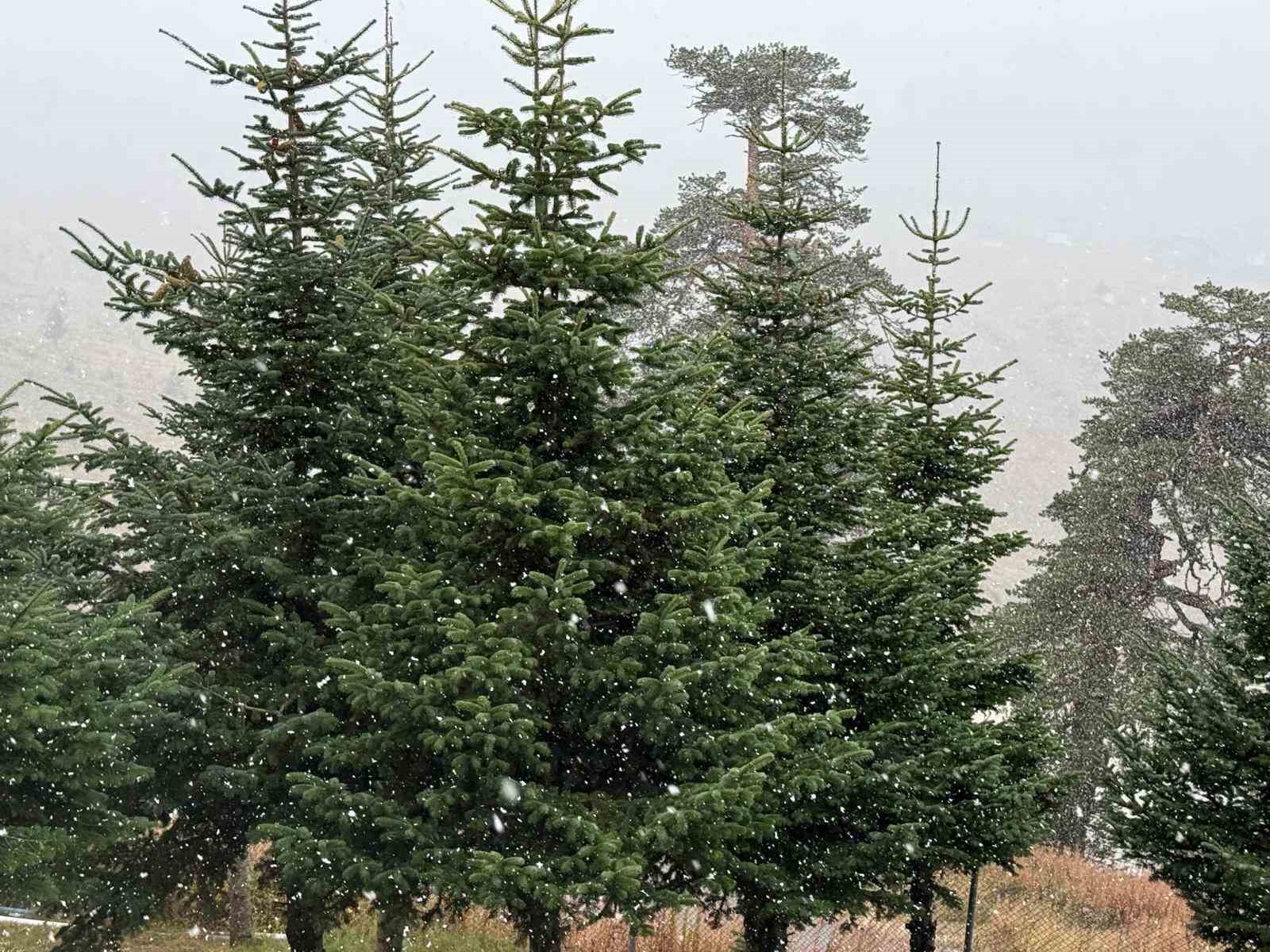 Bolu’da mevsimin ilk karı yağdı
