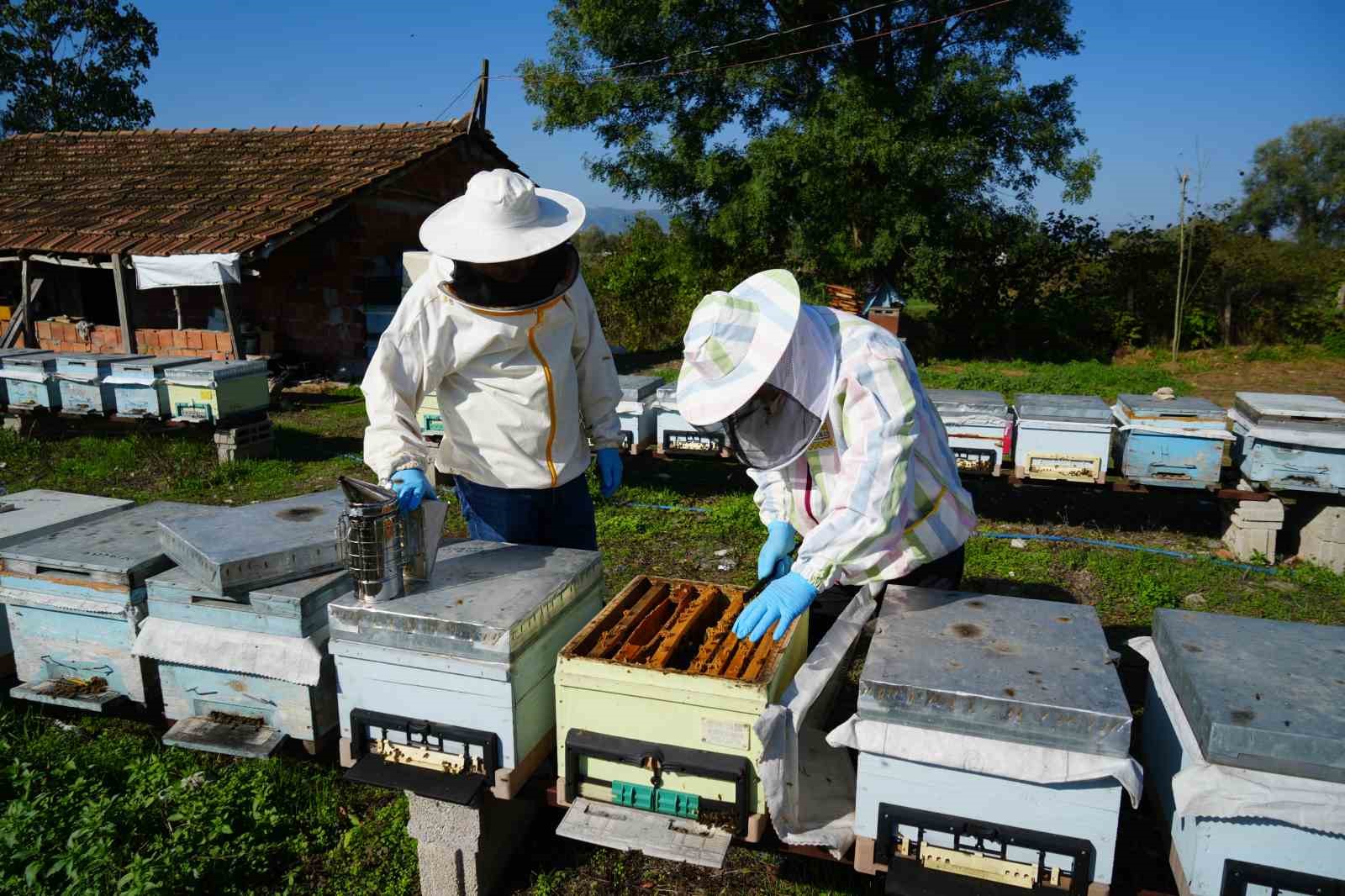 Komiser arıcıdan bal verimini artıran yerli cihaz
