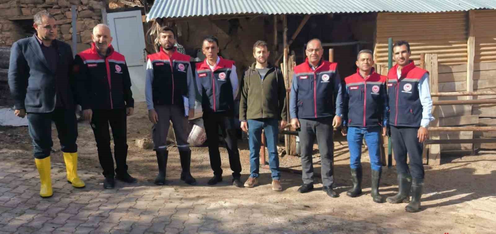 Bayburt’ta etçi ırk damızlık hayvan kontrolleri yapıldı