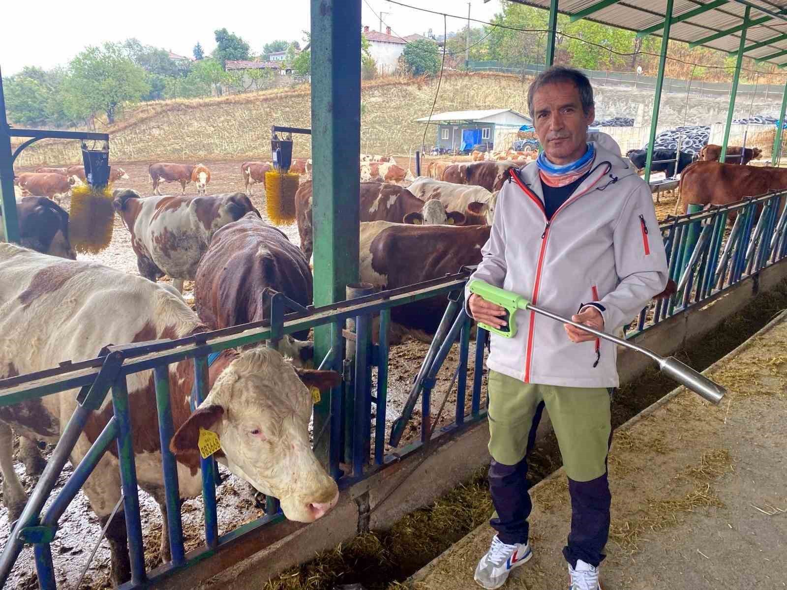 Yapay zeka süt hayvancılığında çığır açtı
