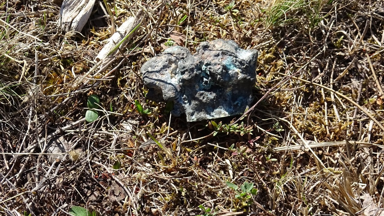 Mantar toplarken göktaşı buldu
