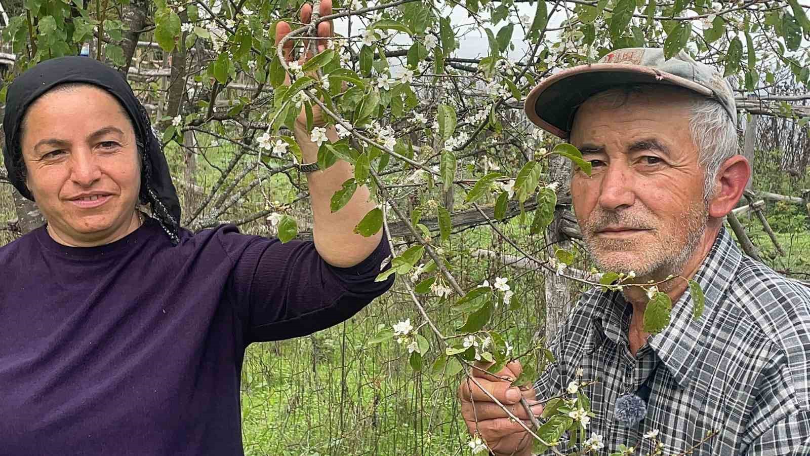 Bartın’da ağaçlar bir yılda ikinci kez çiçek açtı
