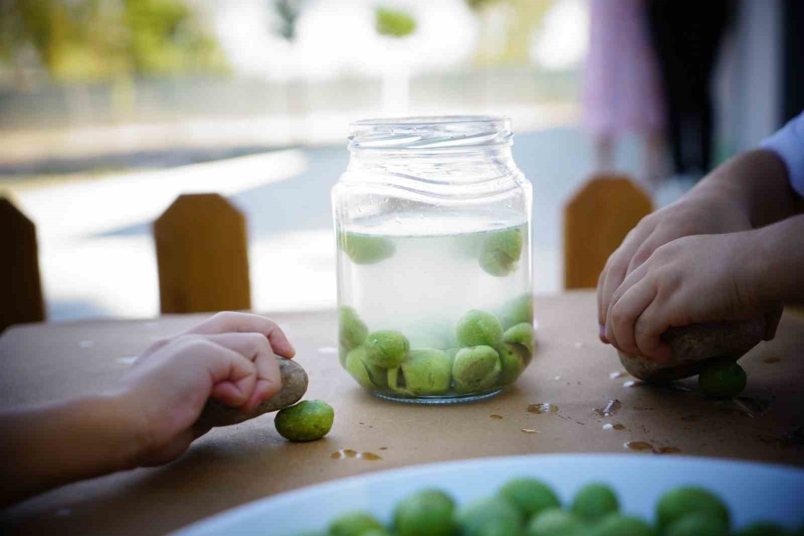 Ekiplerin topladığı zeytinleri minikler işledi
