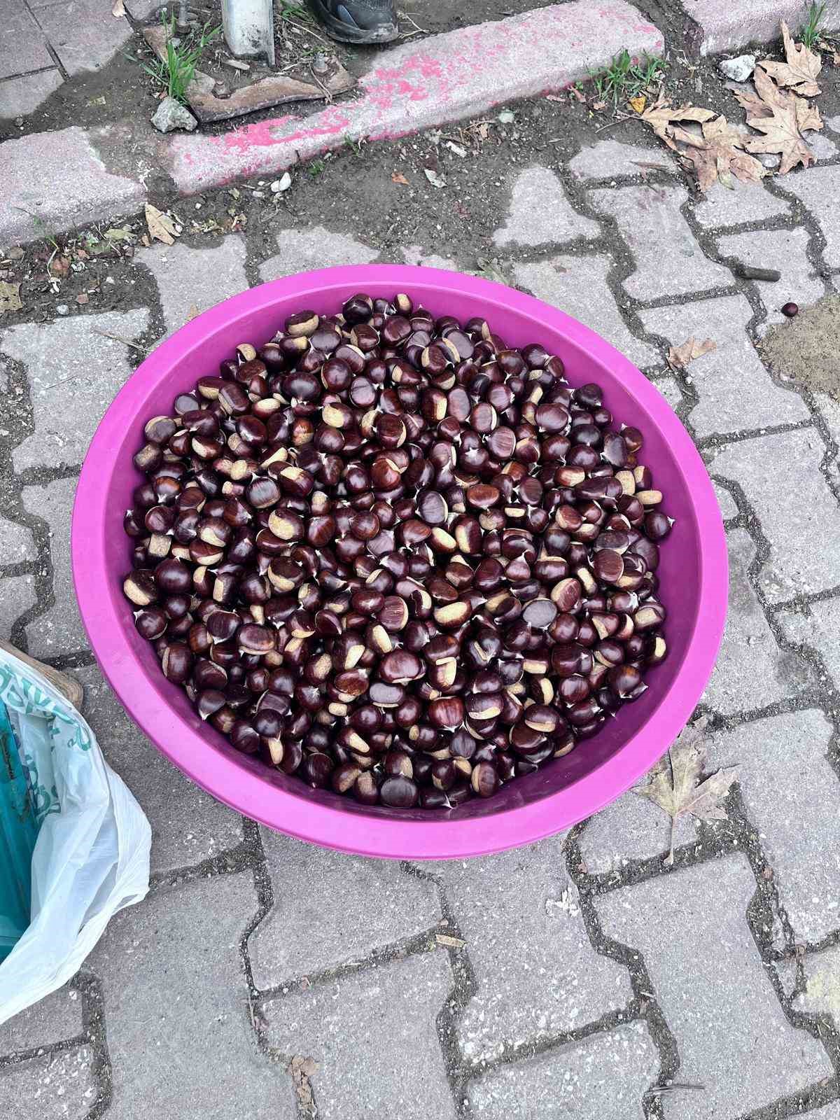 T&uuml;rkeli&rsquo;de kestane ve fesleğen mantarı tezgahlarda
