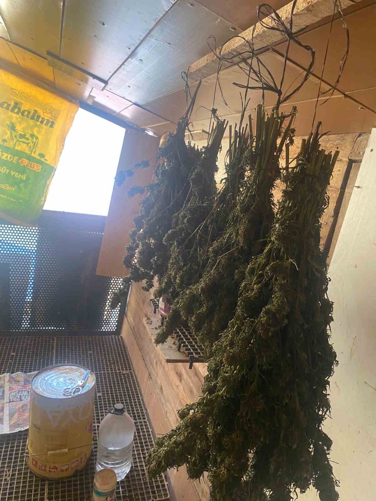 Güvercin kümesinde uyuşturucu ele geçirildi