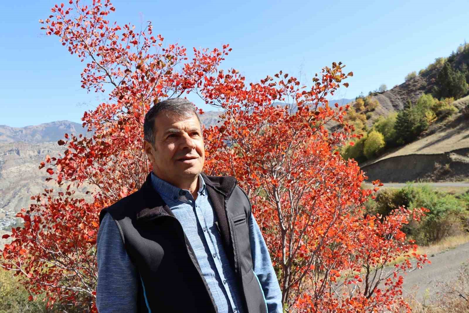 Kaplaç Ağaçları doğayı kırmızıya boyadı
