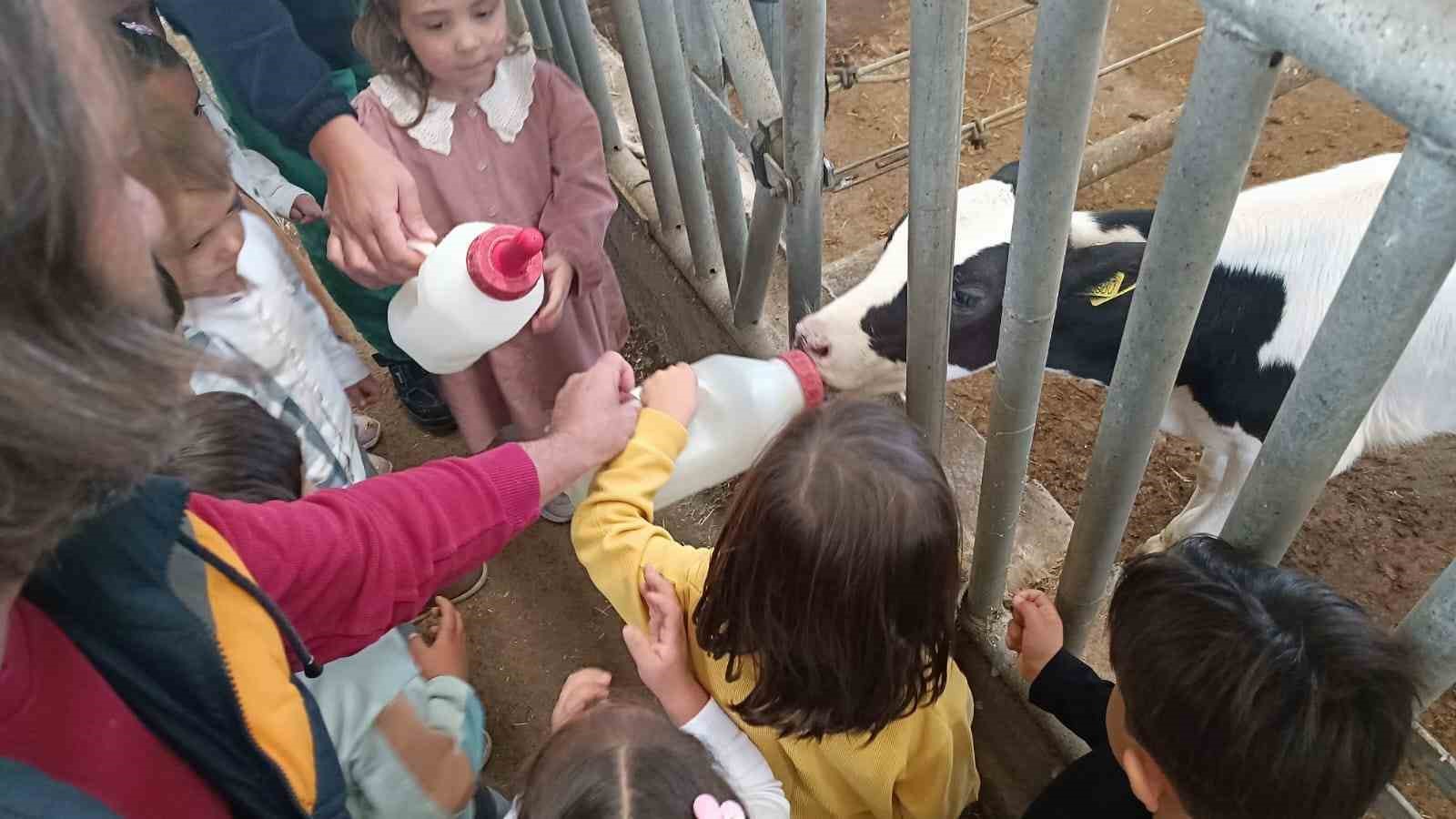 Minik öğrenciler Dünya Yumurta Günü’nde sağlıklı beslenmeyi öğrendi
