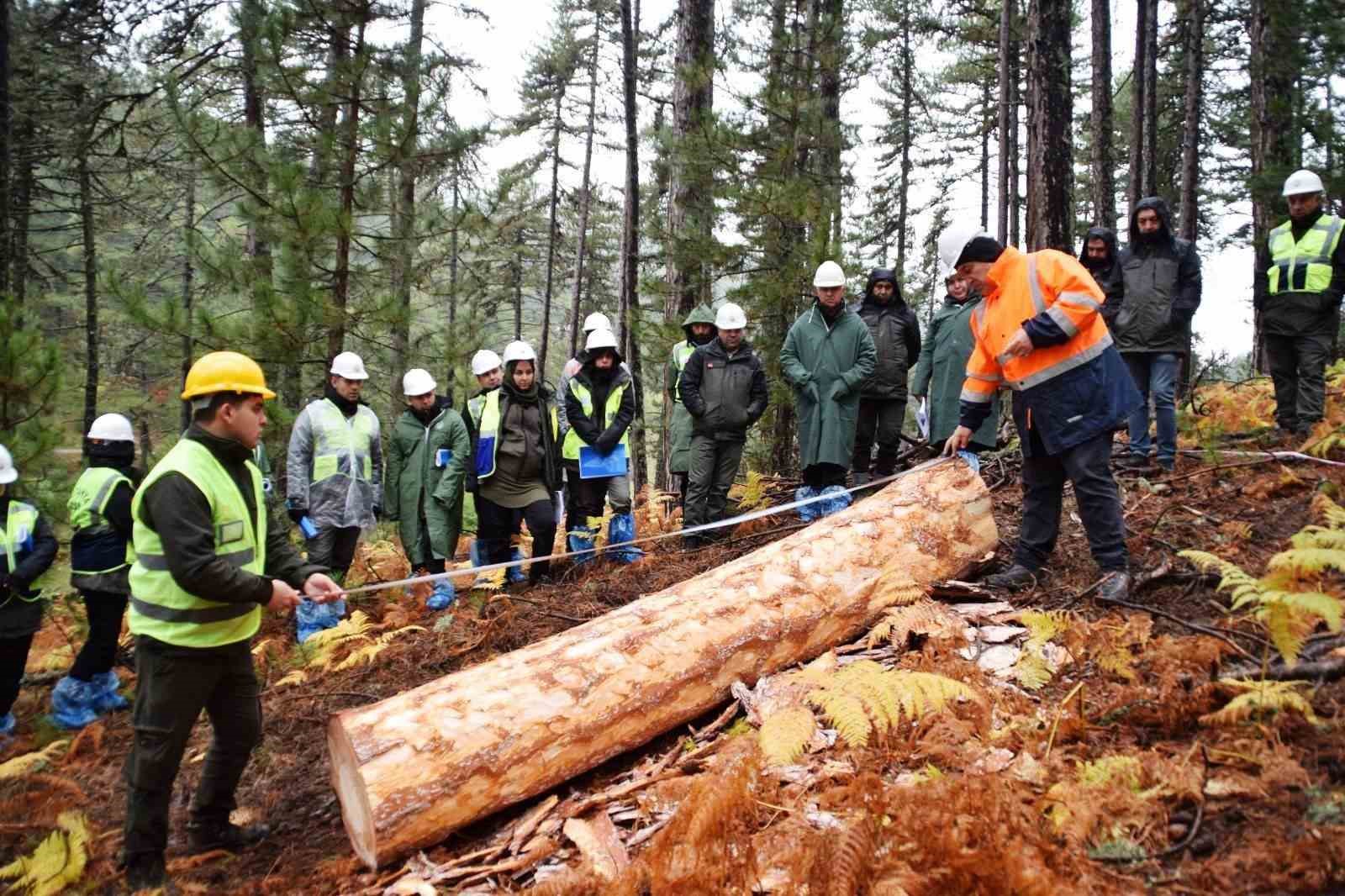 K&uuml;tahya Orman B&ouml;lge M&uuml;d&uuml;rl&uuml;ğ&uuml;nde "Silvik&uuml;lt&uuml;rel Uygulamalar" konulu eğitim
