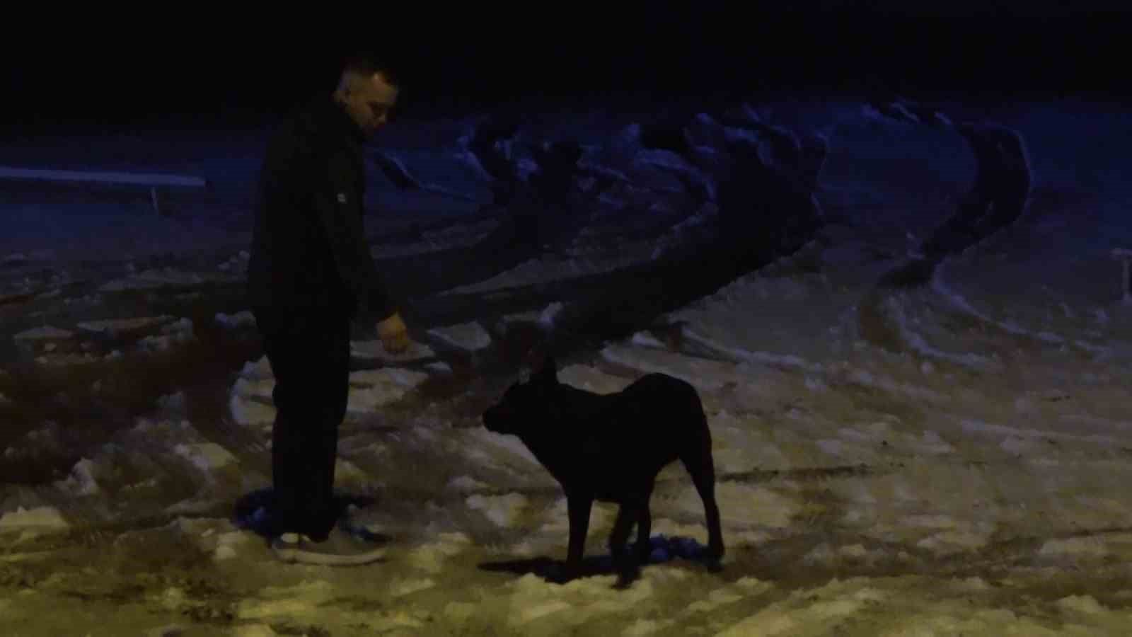 Bursa’da kar yağışını görenler gece yarısı Uludağ’a akın etti