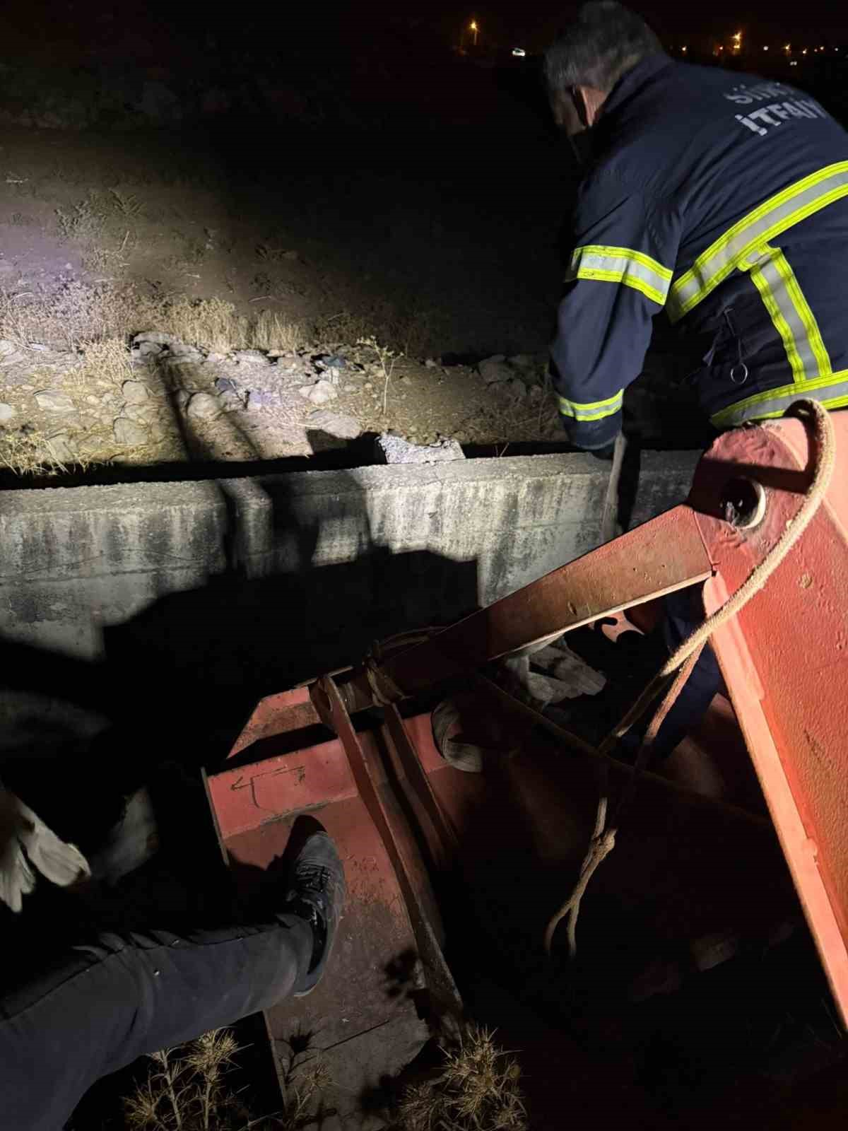 Siirt’te kanala düşen inek kurtarıldı