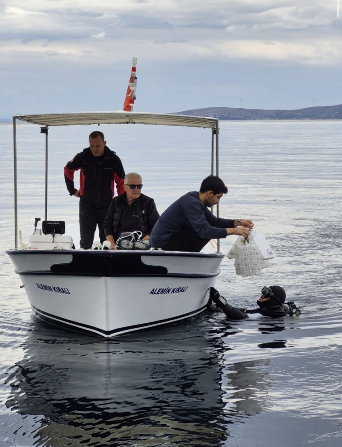 Marmara’da 400 ıstakoz yavrusu yapay resiflere bırakıldı