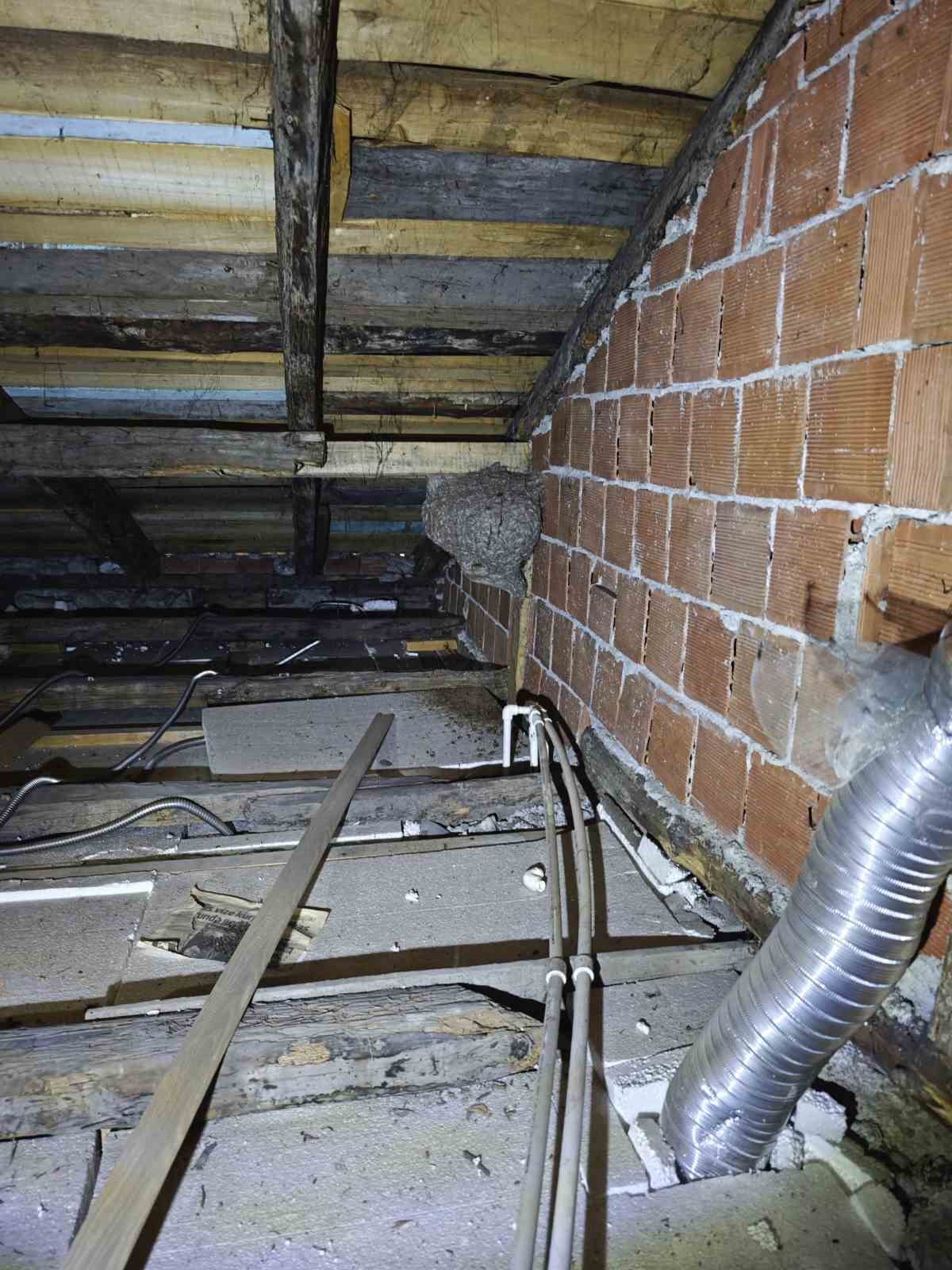 Safranbolu&rsquo;da evin &ccedil;atısında yaban arısı paniği
