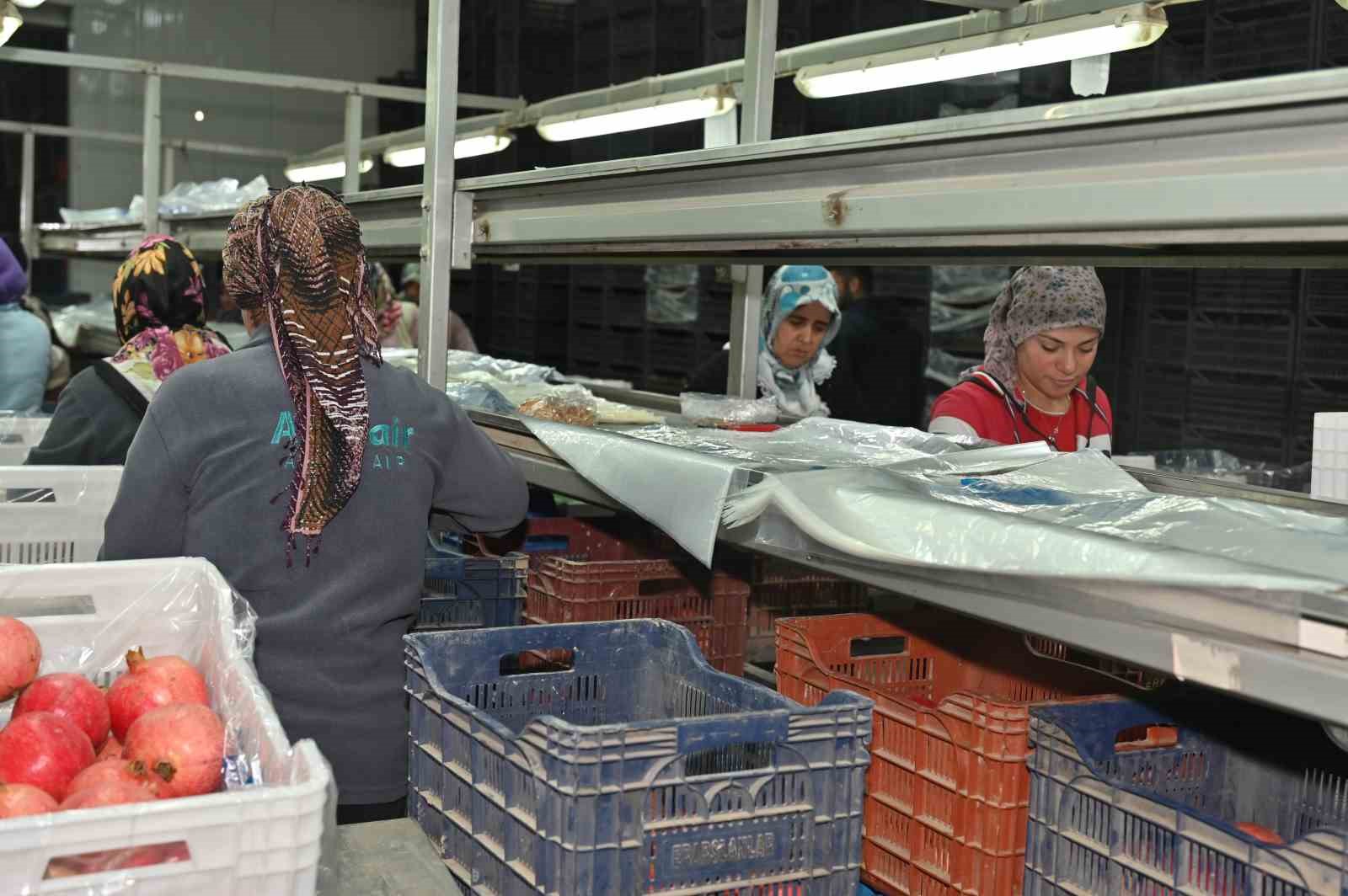 Denizli narı İsrail narının önüne geçti