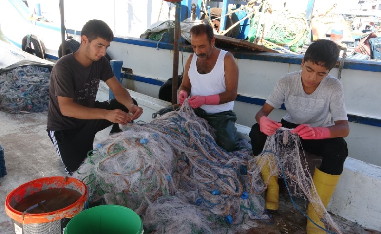 Balıkta bolluk yaşanıyor, fiyatlar kasım sonuna kadar uygun