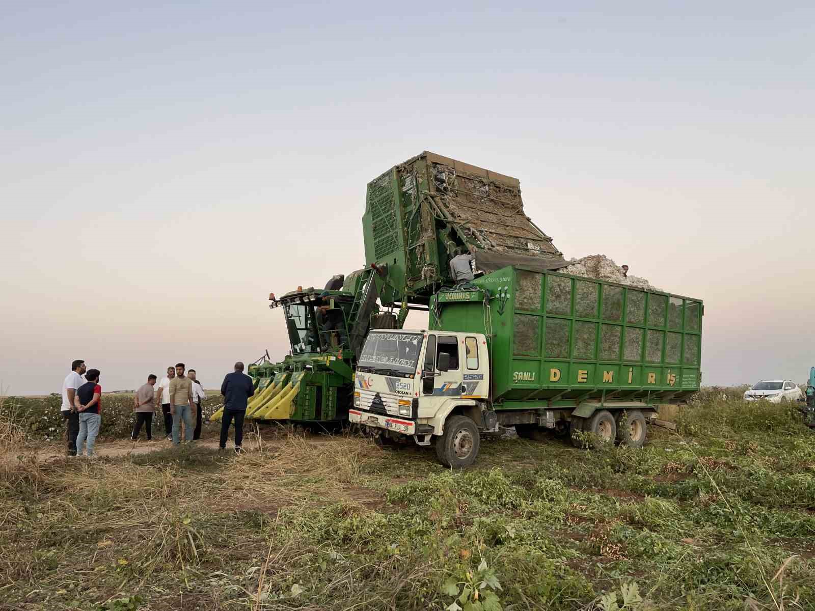 Şanlıurfa’da pamuk yerini yer fıstığına bırakıyor