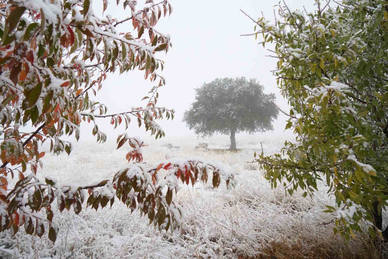 Niğde’nin yüksek kesimlerine mevsimin ilk karı yağdı

