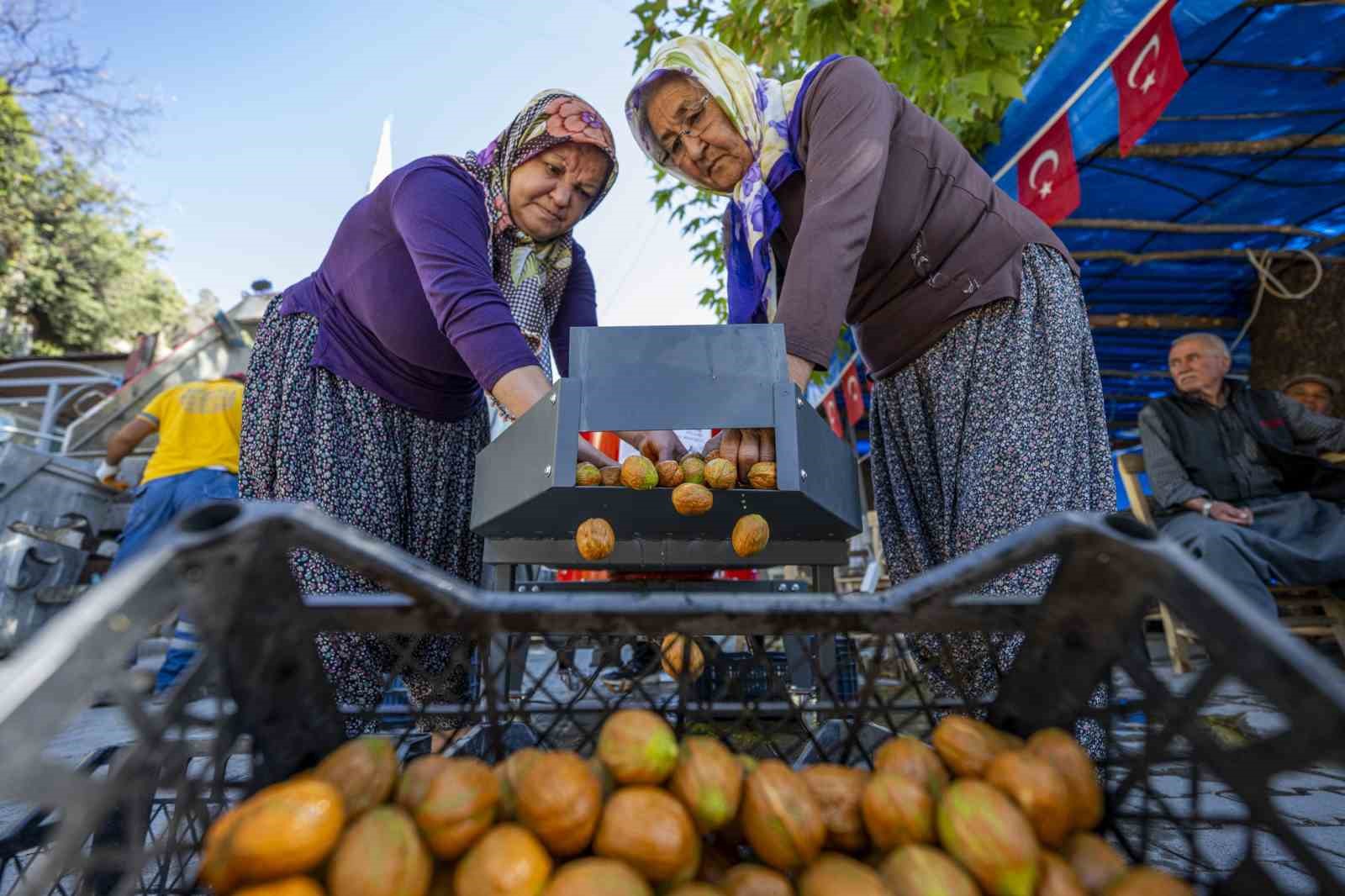 Mersin’de üreticiye ceviz soyma makinesi desteği
