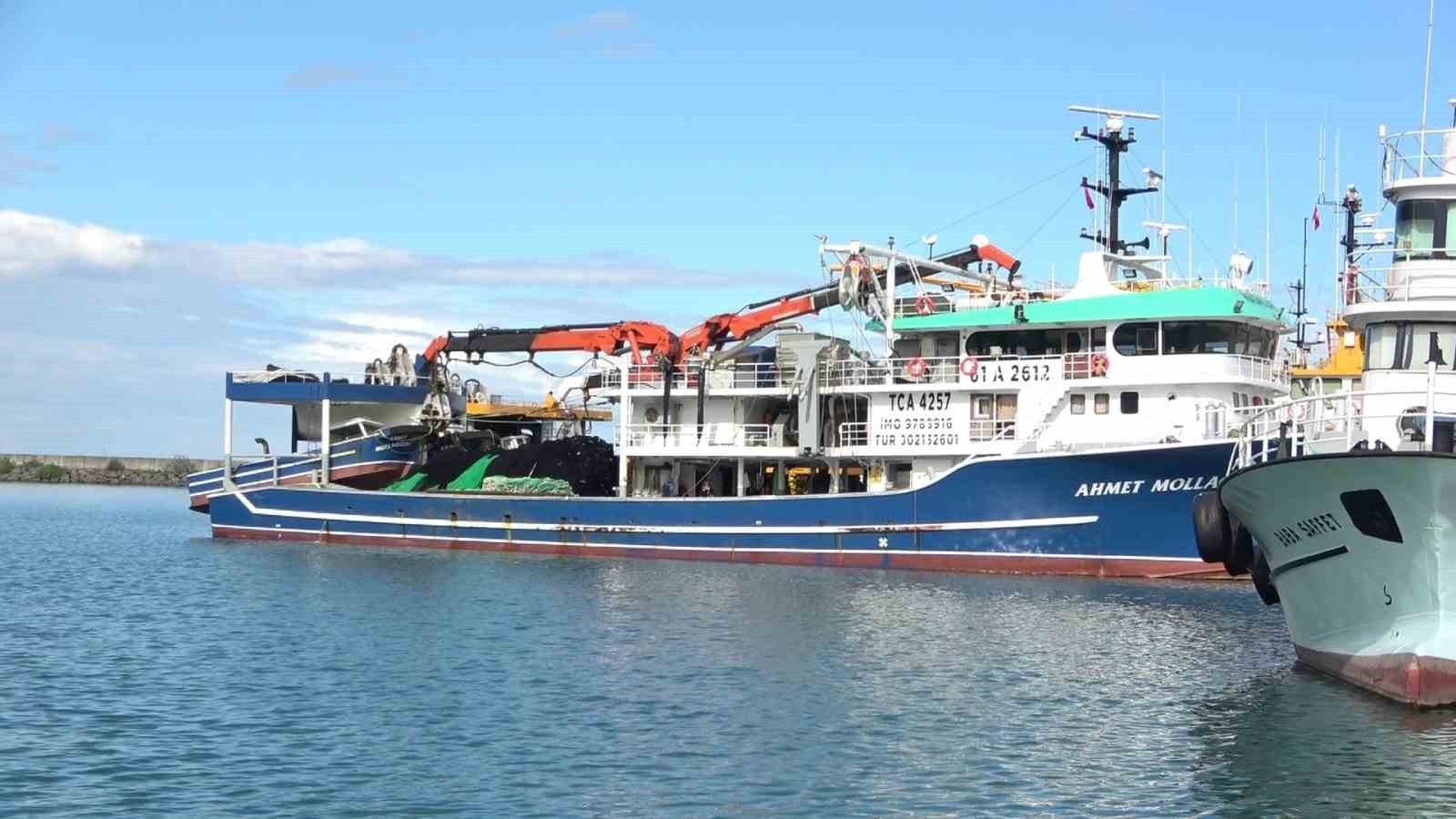 Deniz sıcak hamsi zayıf: Balıkçıların gözü 10 Kasım’da
