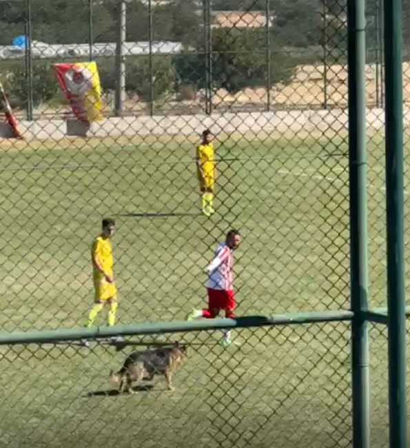 Isparta&rsquo;da amat&ouml;r ma&ccedil;ta sahaya k&ouml;pek girince oyun durdu
