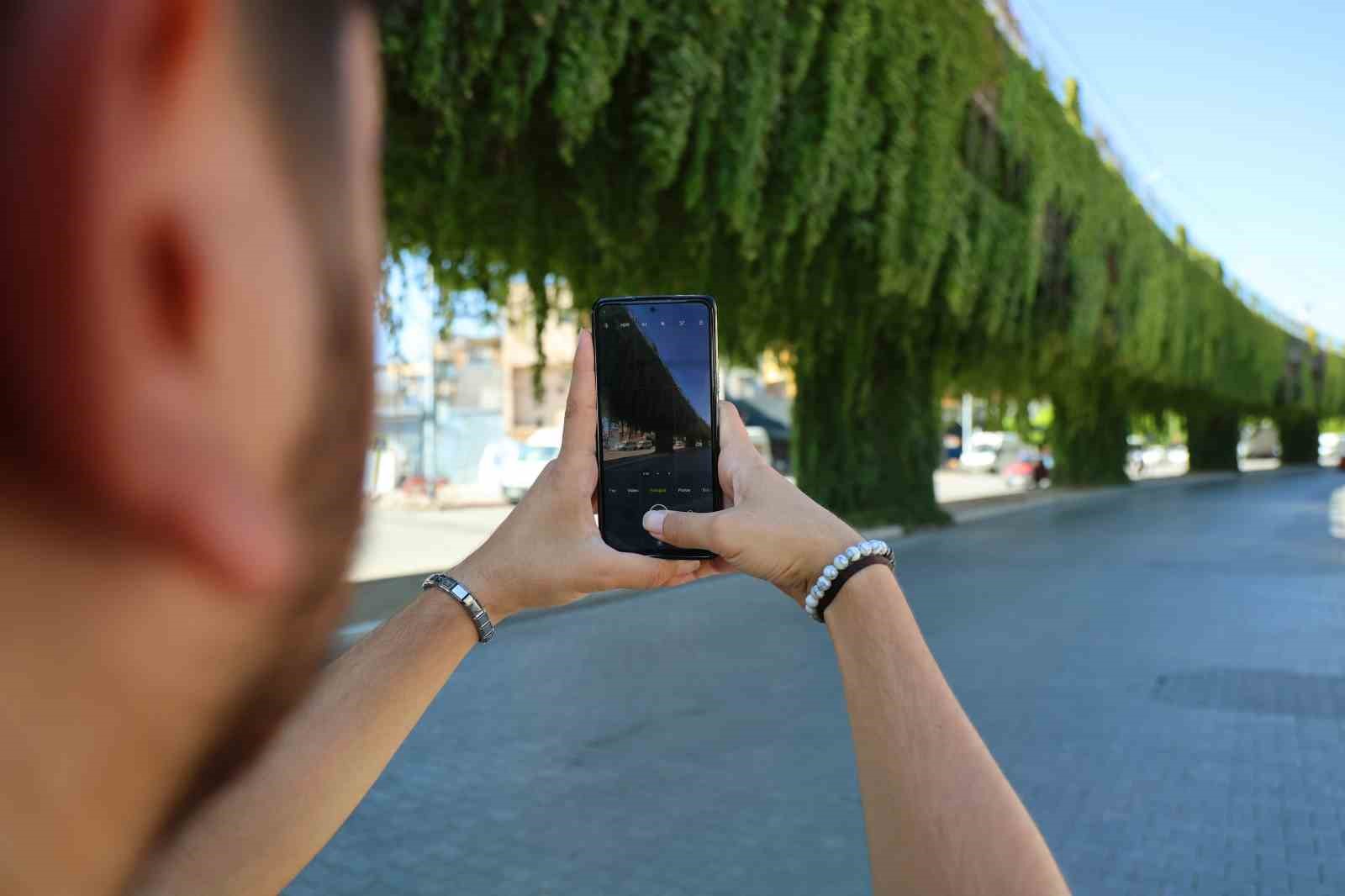 Sarmaşıklarla kaplı metro yolu, görsel şölen oluşturuyor
