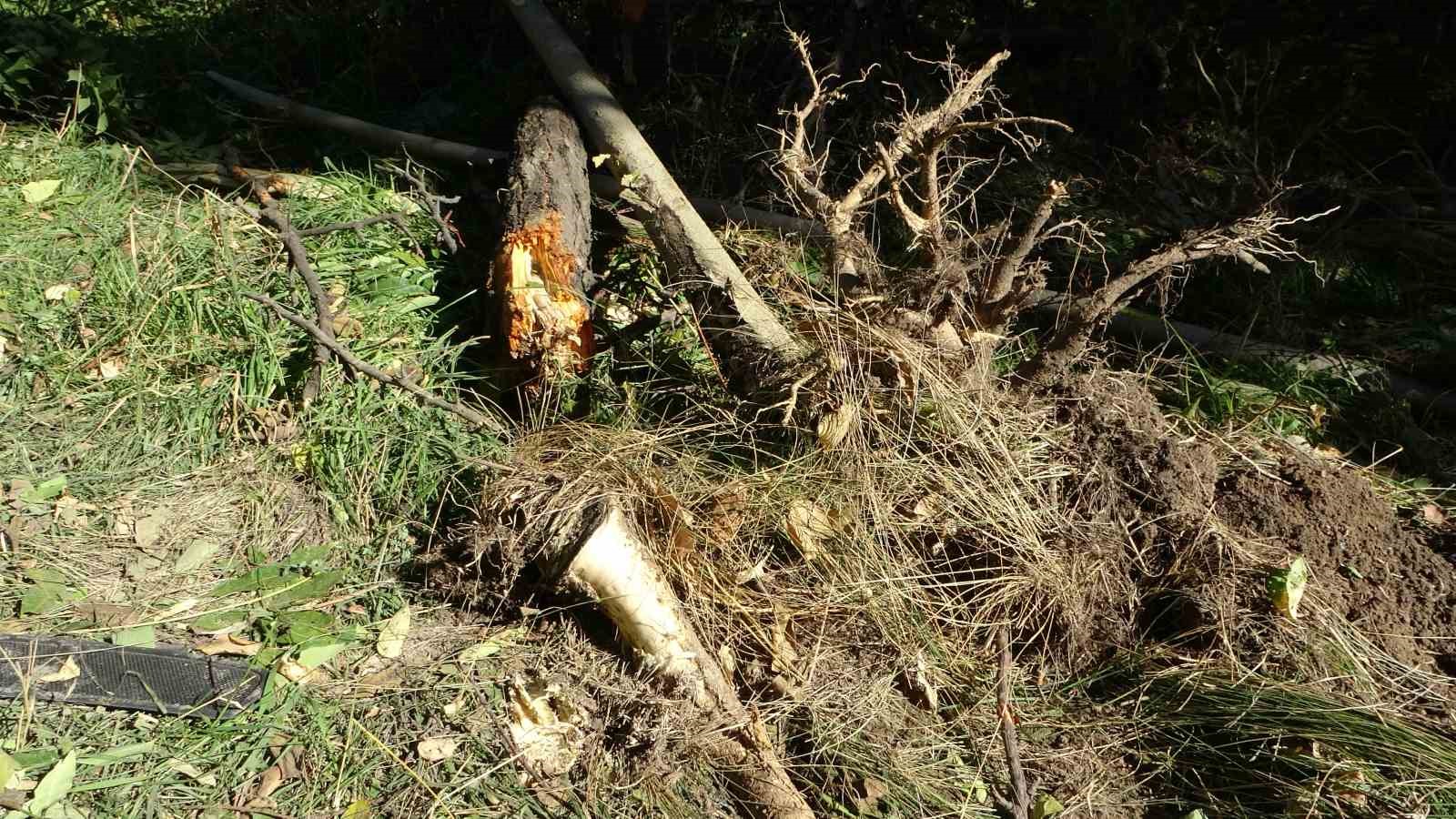 Kontrolden çıkan otomobil bahçeye uçtu: 1 ağır yaralı