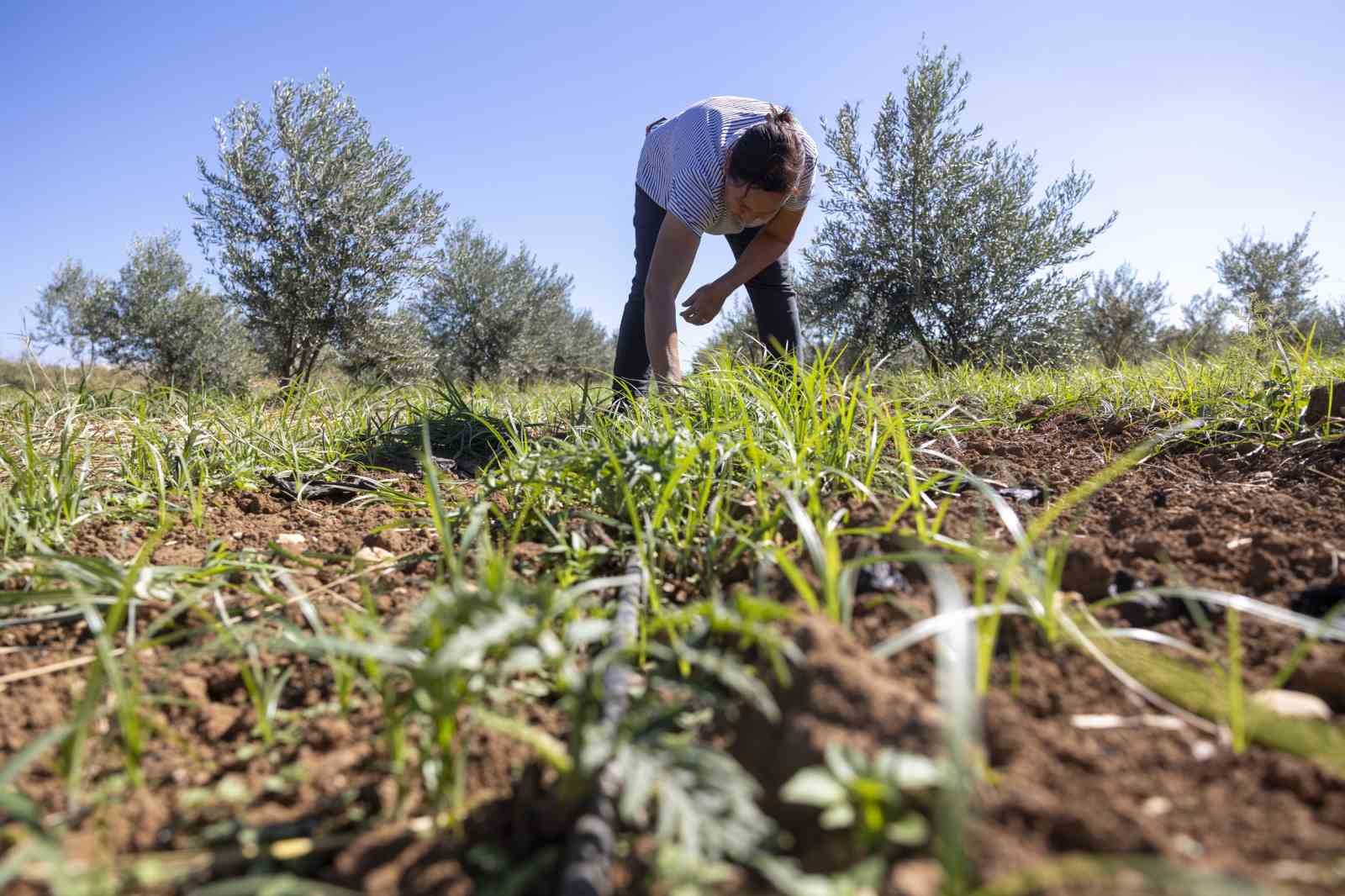 Mersin’de kadınlar üreterek güçleniyor
