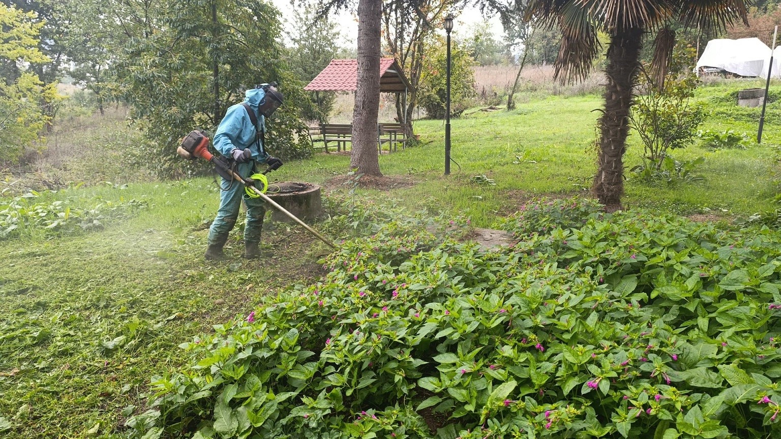 Başiskele’de yeşil alanlara bakım