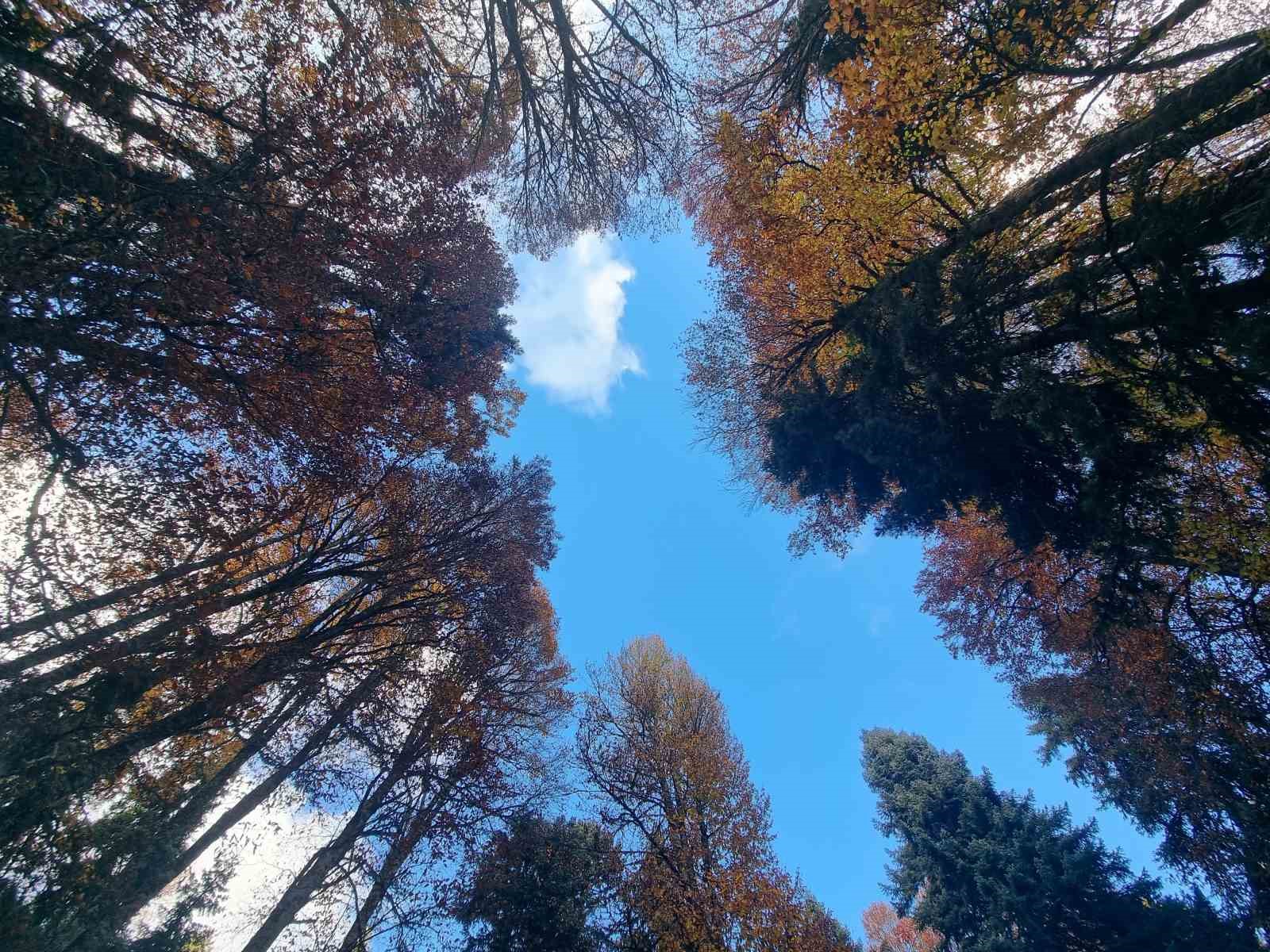 Erzincan’da hazan mevsimi güzelliği
