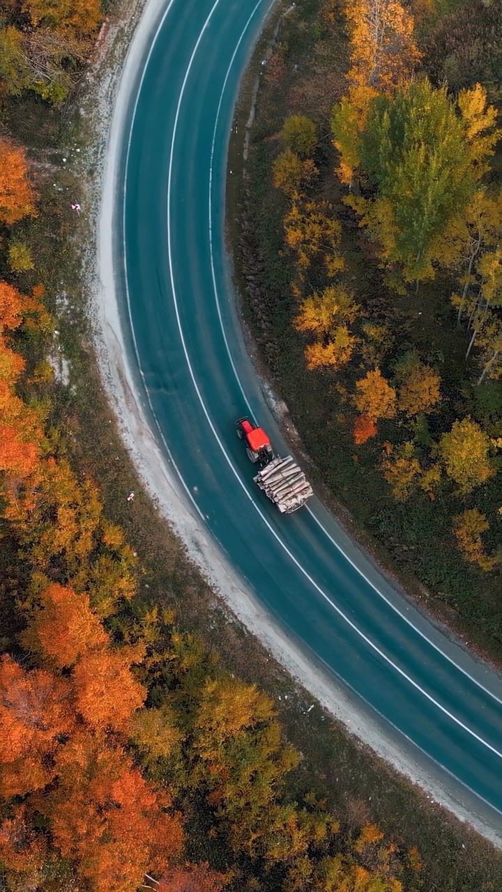 Bursa’da sonbaharla ormanlara gelen renk cümbüşü