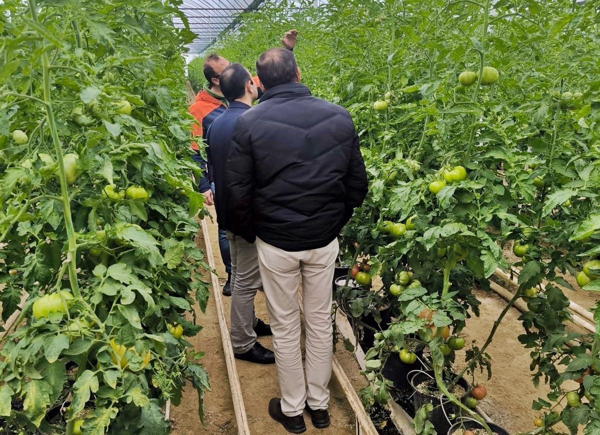 Emet’te üreticiler için Simav’daki seralara teknik gezi
