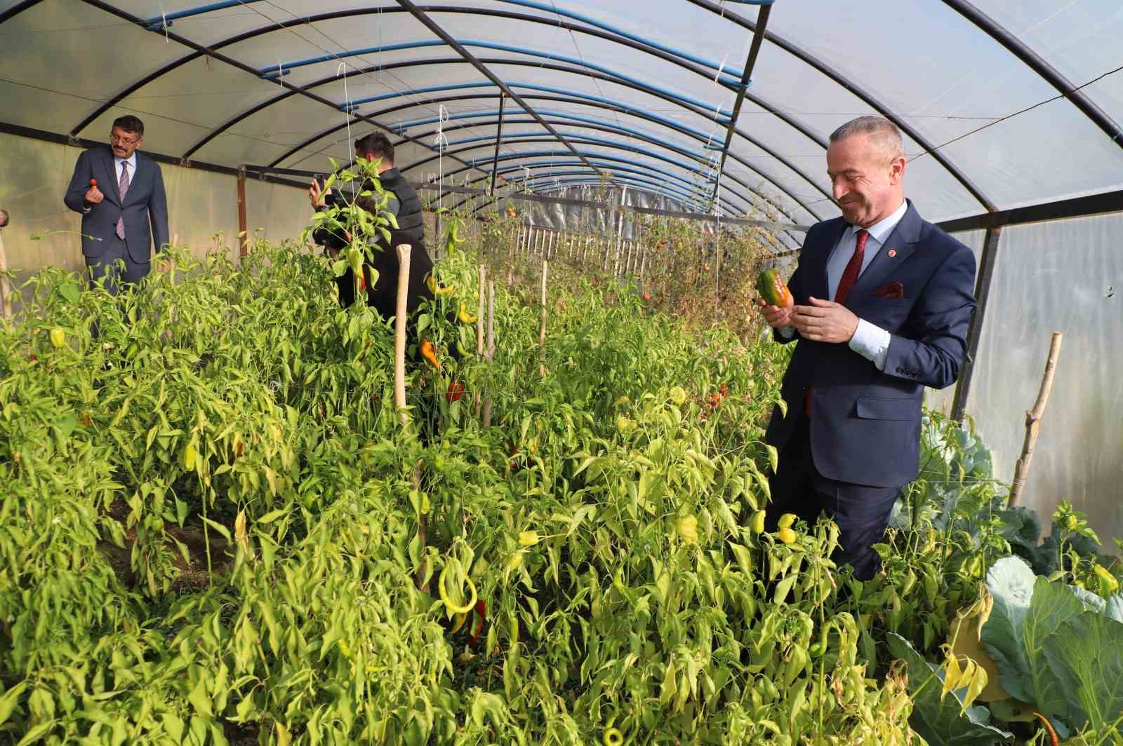 Hakkari’de kurulumu tamamlanan seralar kadın çiftçilere teslim edildi
