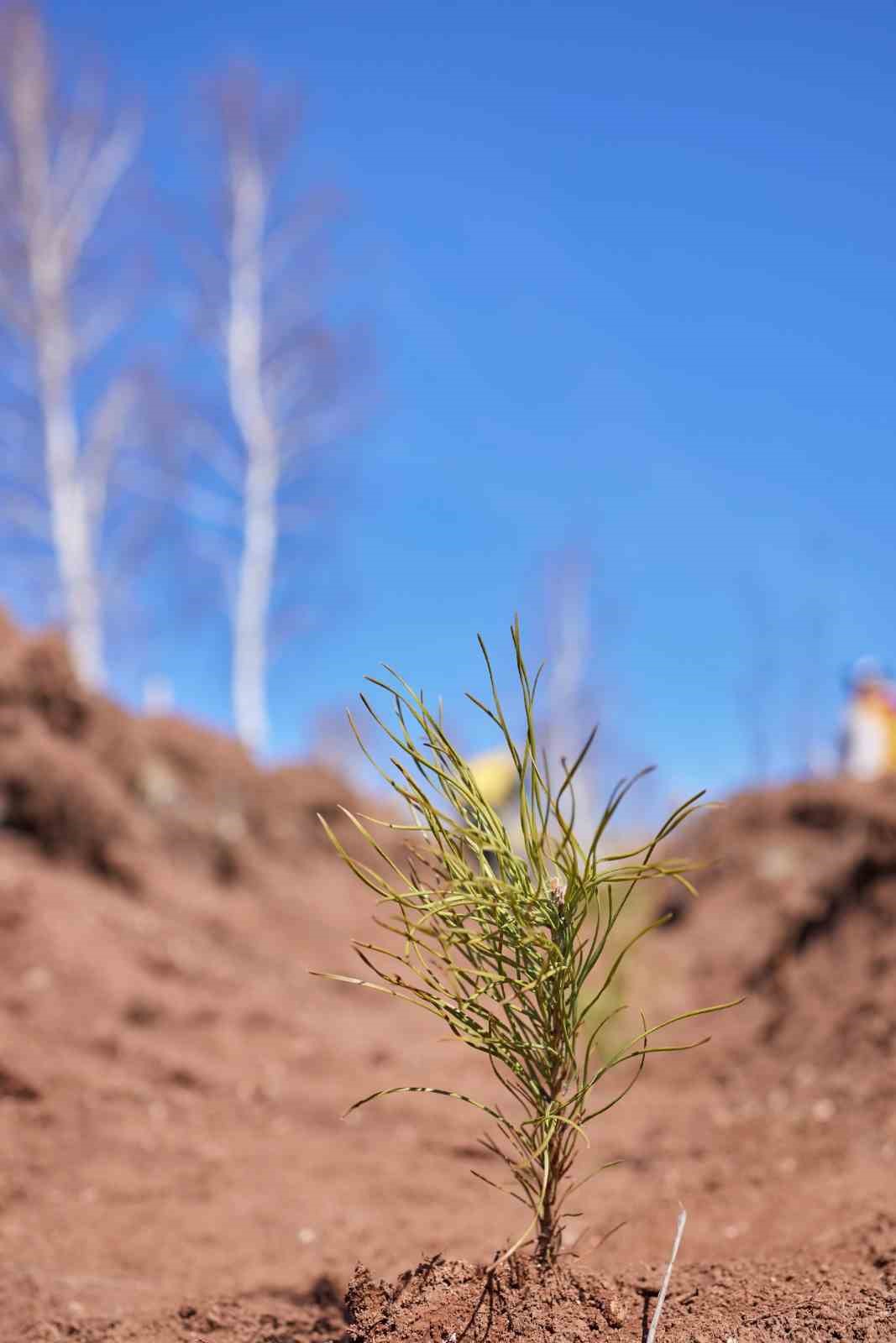 Uludağ Elektrik’ten doğa dostu çözüm
