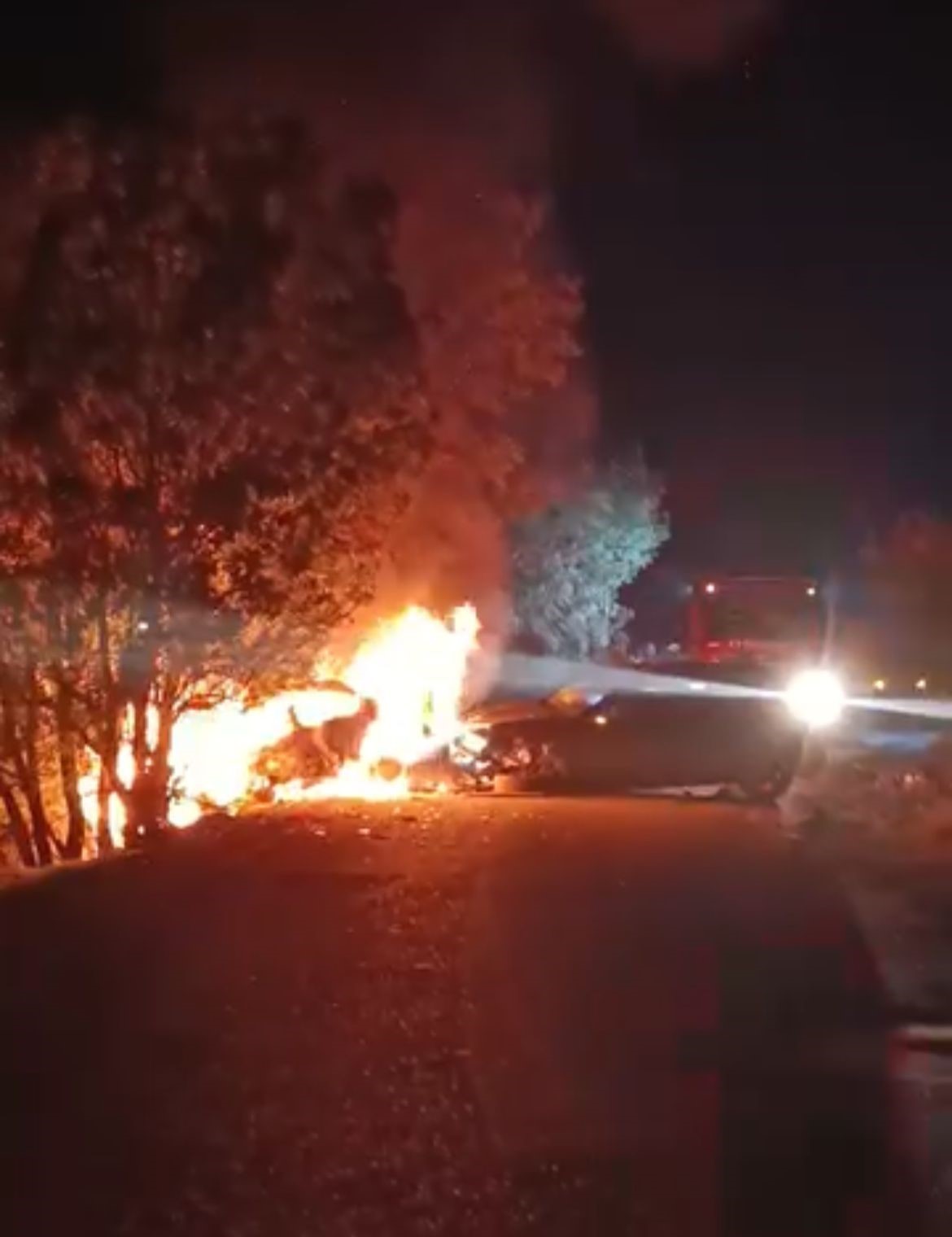 Bursa&rsquo;da korkun&ccedil; kaza: Ara&ccedil; alev aldı, yangın ormana sı&ccedil;radı
