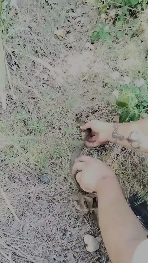 İnsanlar korkularından konteynere giremezken o elleriyle 1 metrelik yılanı yakaladı
