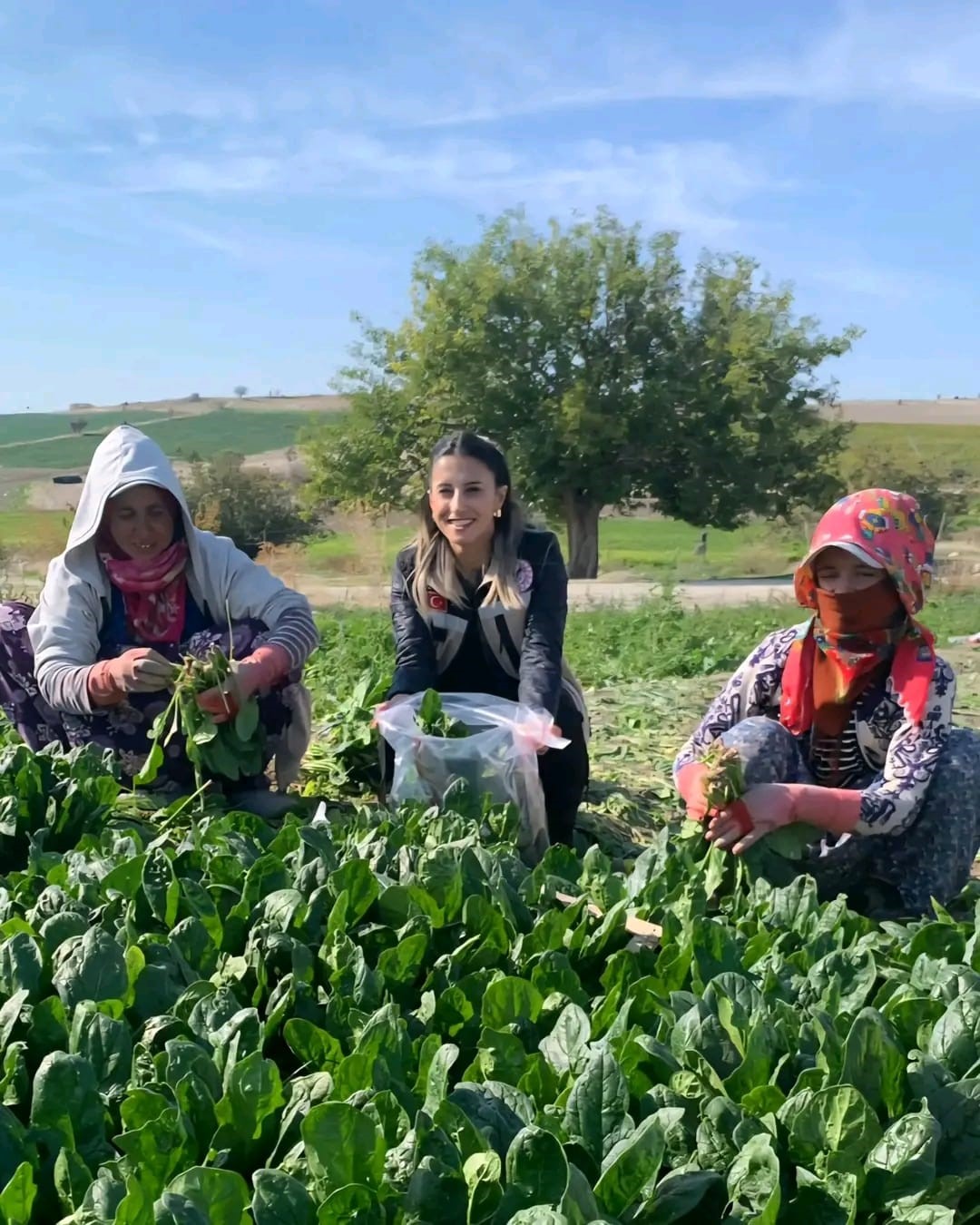 Beypazarı’nda gıda güvenliği denetimleri aralıksız sürüyor
