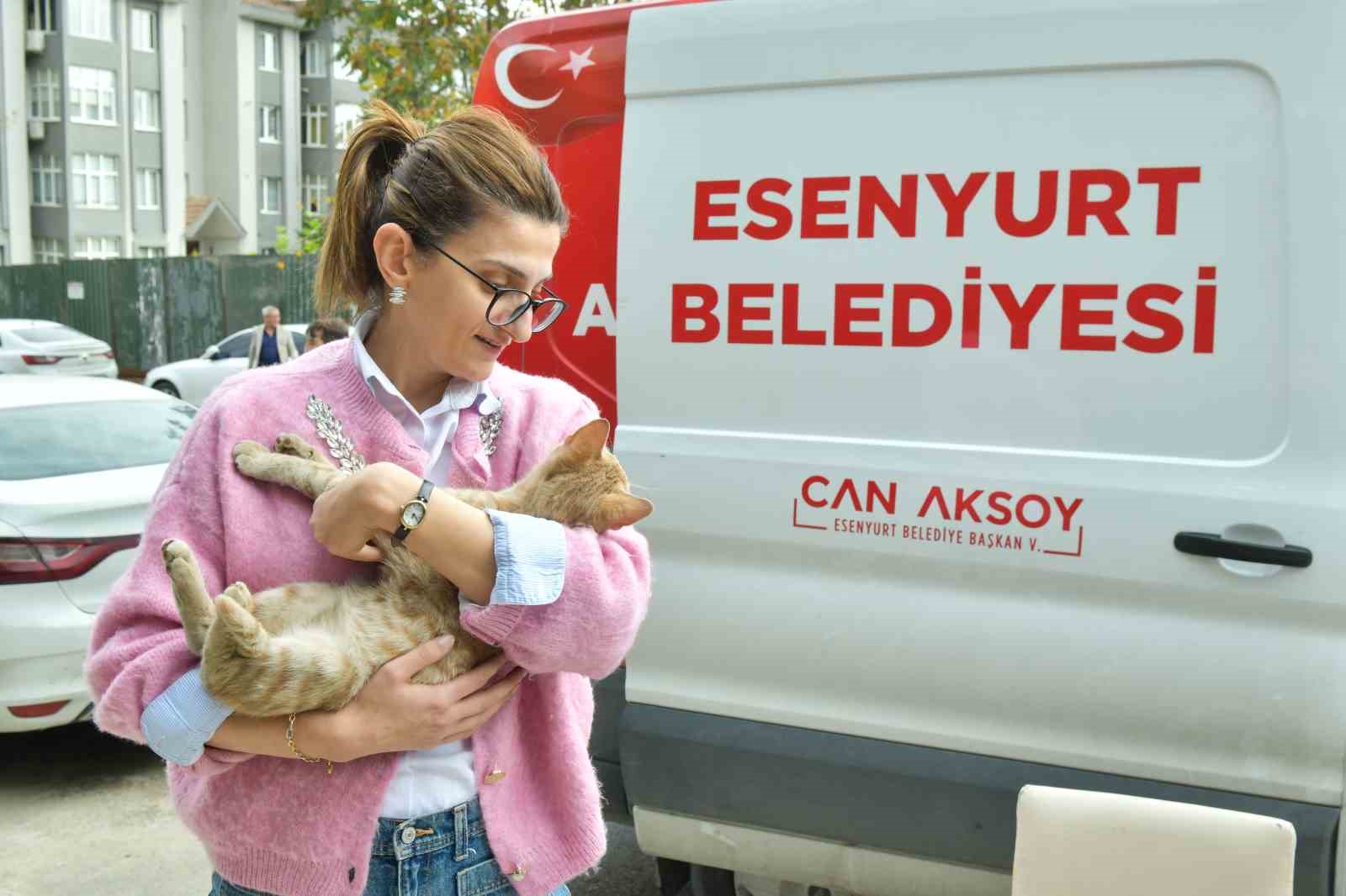 Esenyurt&rsquo;ta sokak kedilerine parazit uygulaması: Hem hayvan sağlığına hem toplum sağlığına katkı
