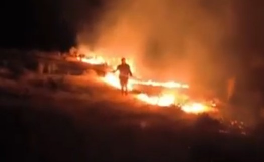 Emirgazi&rsquo;de mera yangını
