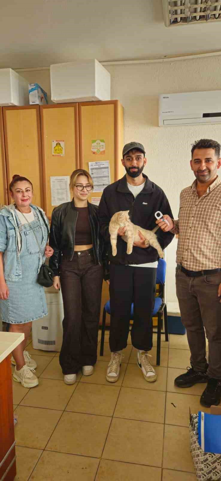 &Ccedil;ip sayesinde kayıp kedi kısa s&uuml;rede sahibine kavuştu
