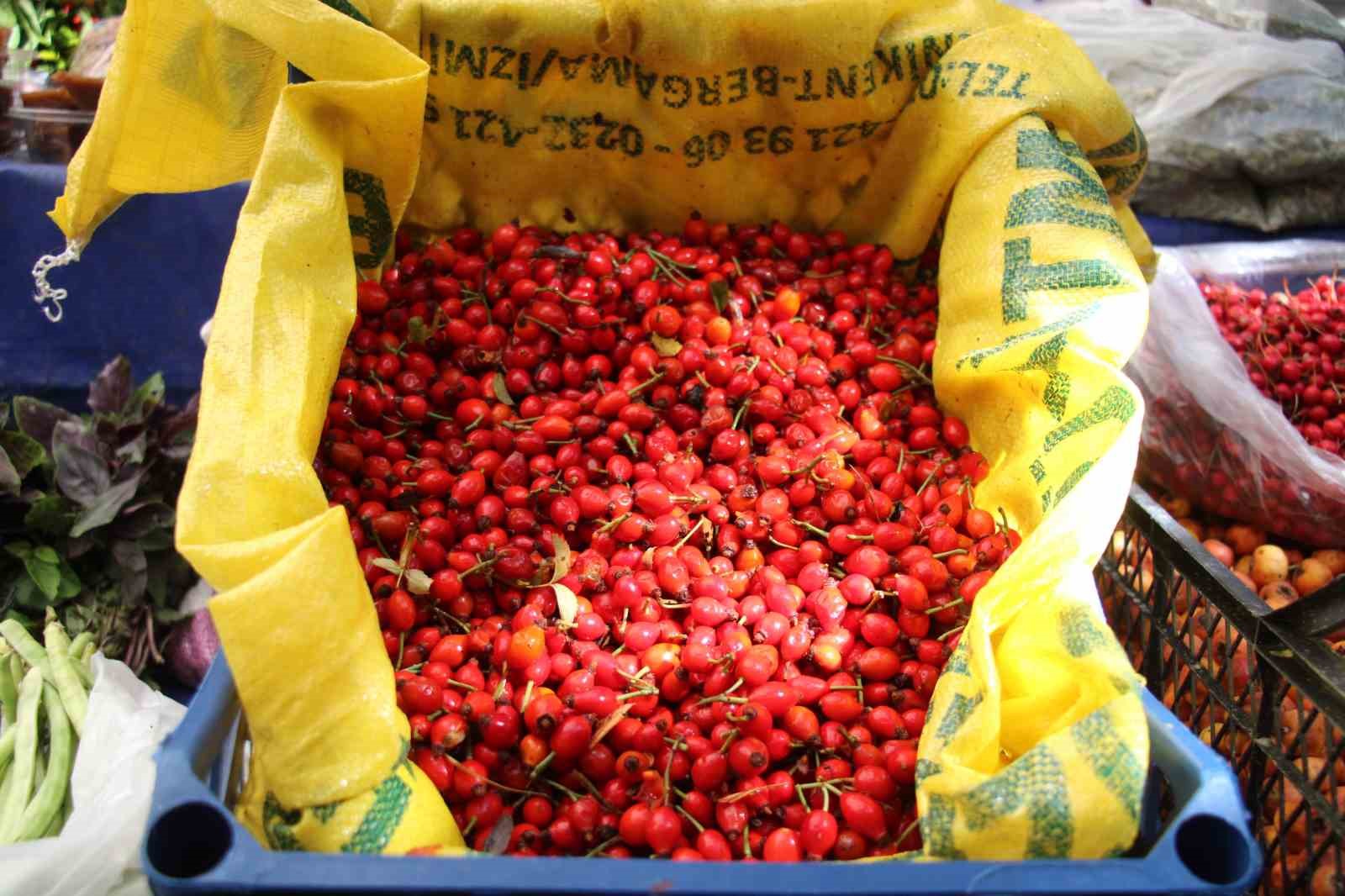 Dikenlerin arasında zahmetle toplanan kuşburnuna rağbet arttı